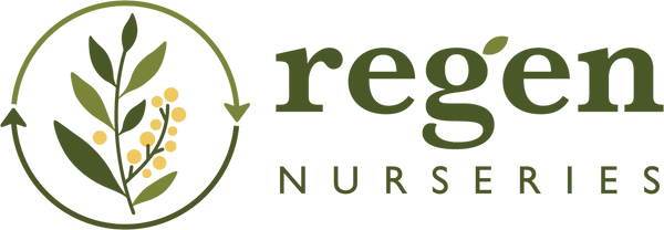 Regen Nurseries